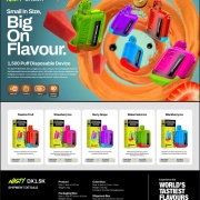 VAPER NASTY 1500 PUFF T490