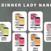 VAPORIZADOR 1500 NANO DINNER LADY T294