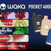 VAPER WAKA POCKET 4000 Puff T297