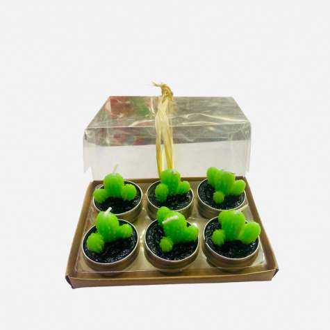 SET DE VELAS CACTUS  D244 